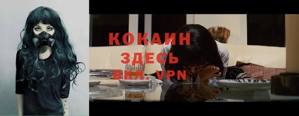 прущие крисы Кулебаки