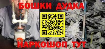 сатива Кандалакша