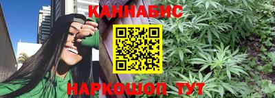 мет Камышлов