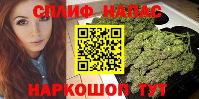 сатива Кандалакша