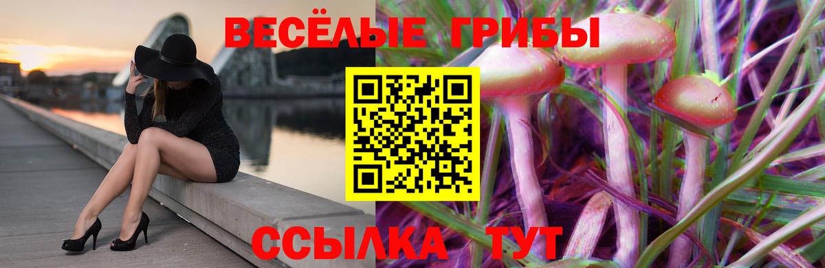 Псилоцибиновые грибы прущие грибы  Псилоцибиновые грибы Magic Shrooms  Кумертау  Вход с VPN 